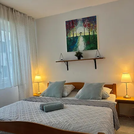 Apartment Mezzanave Center *