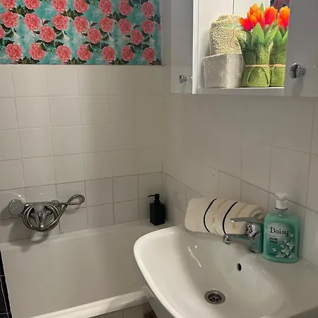 Apartment Mezzanave Center Split
